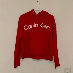 Calvin Klein Red Cropped Hoodie Thumb Homes Fromt Logo